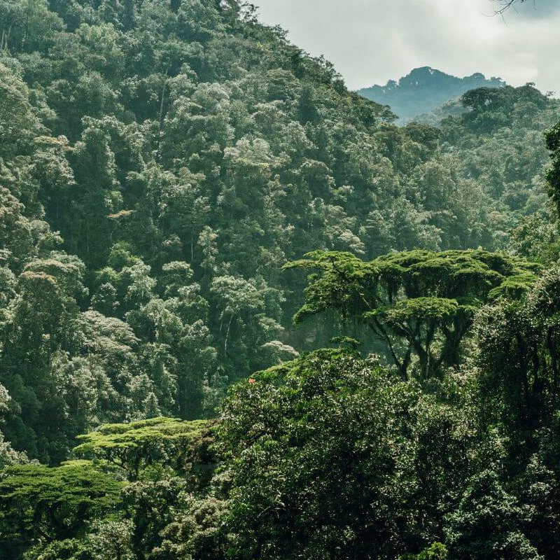 Ruanda