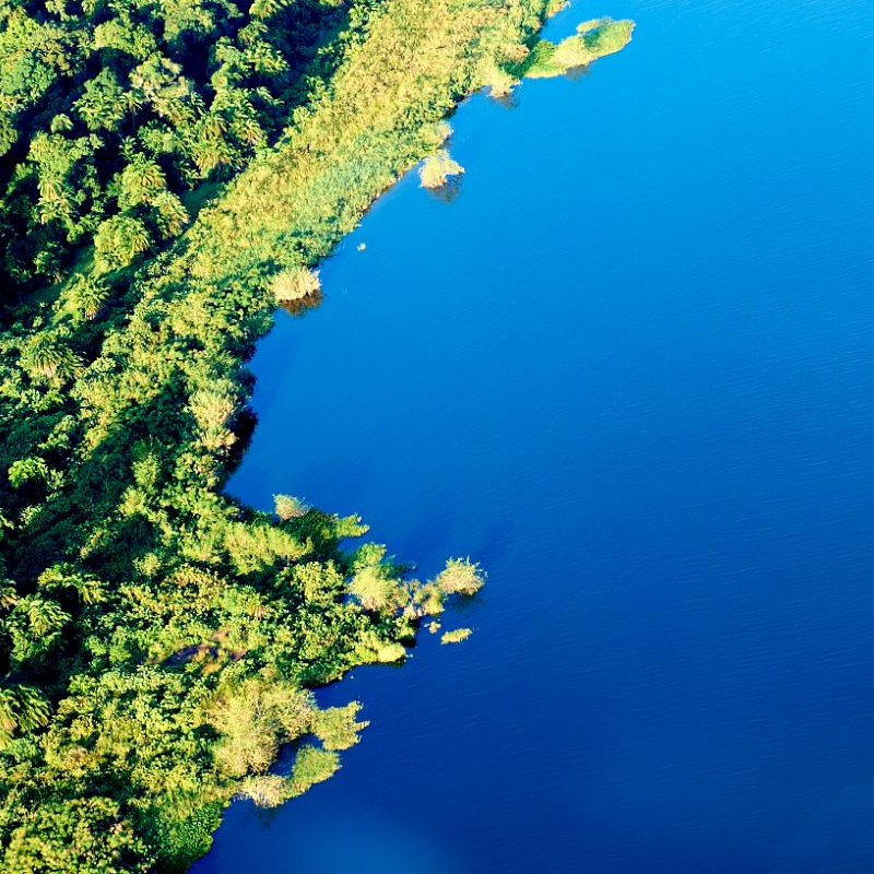 Rubondo Island