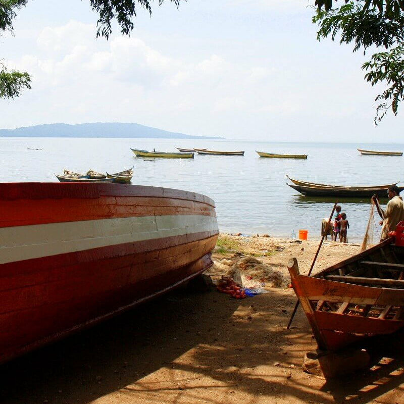 Rubondo Island