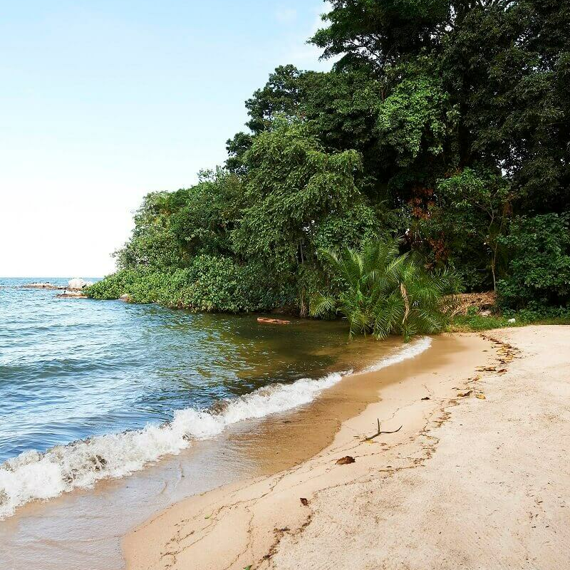 Rubondo Island