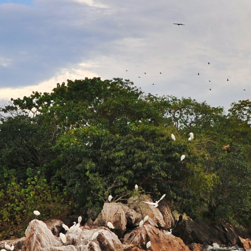 Rubondo Island