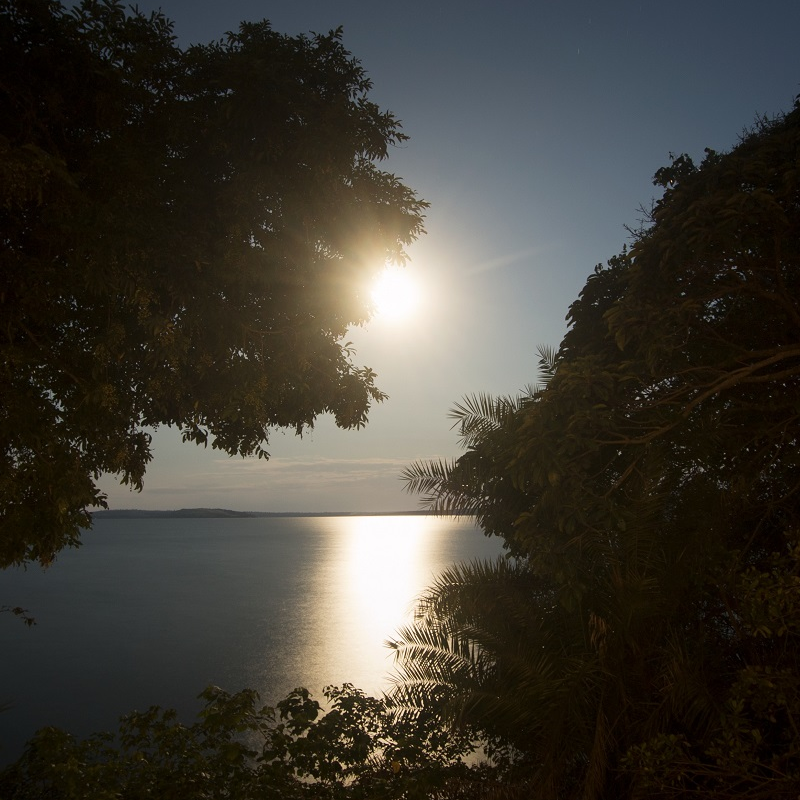 Rubondo Island