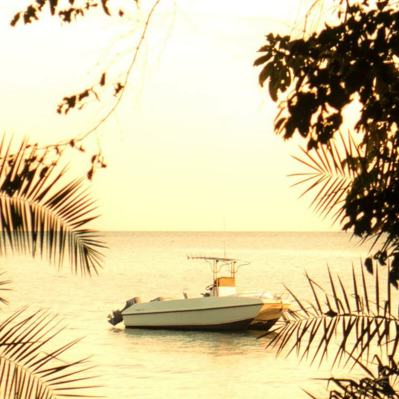 Rubondo Island