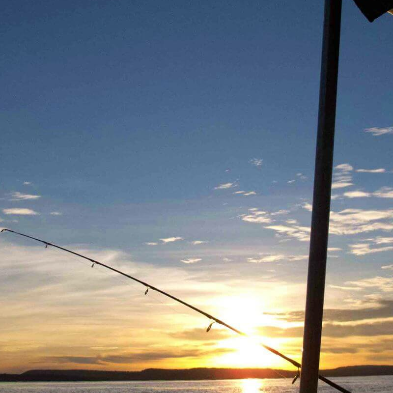 Rubondo Island