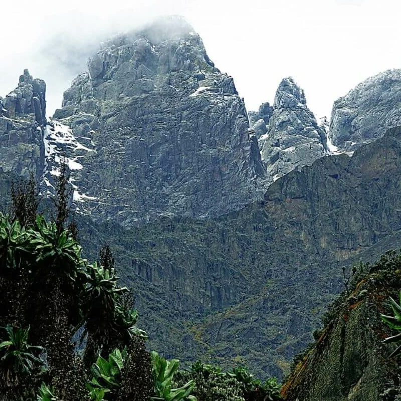 Ruwenzoris