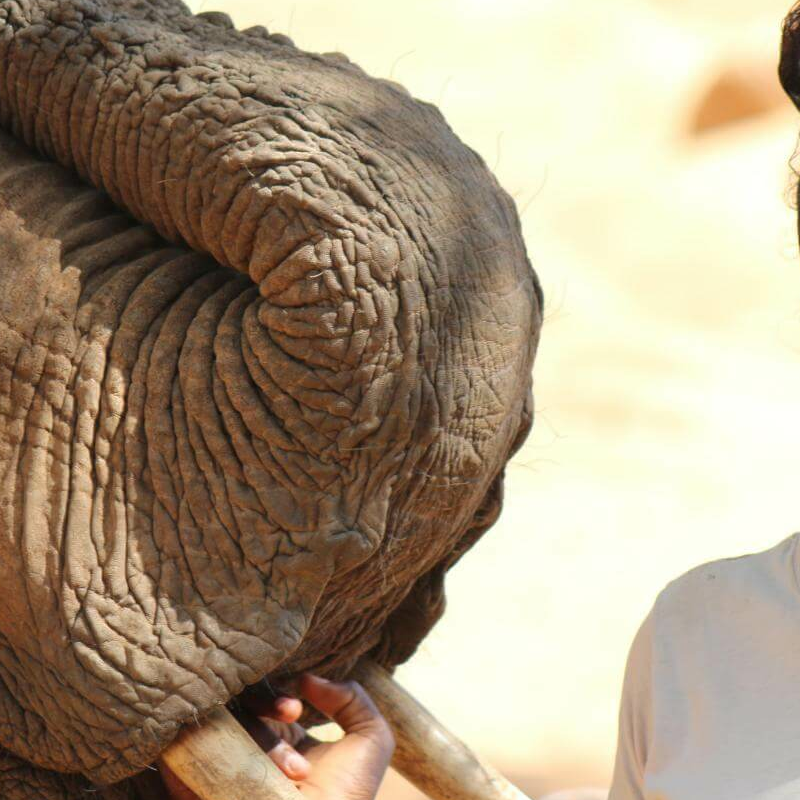 Samburu Nationalpark