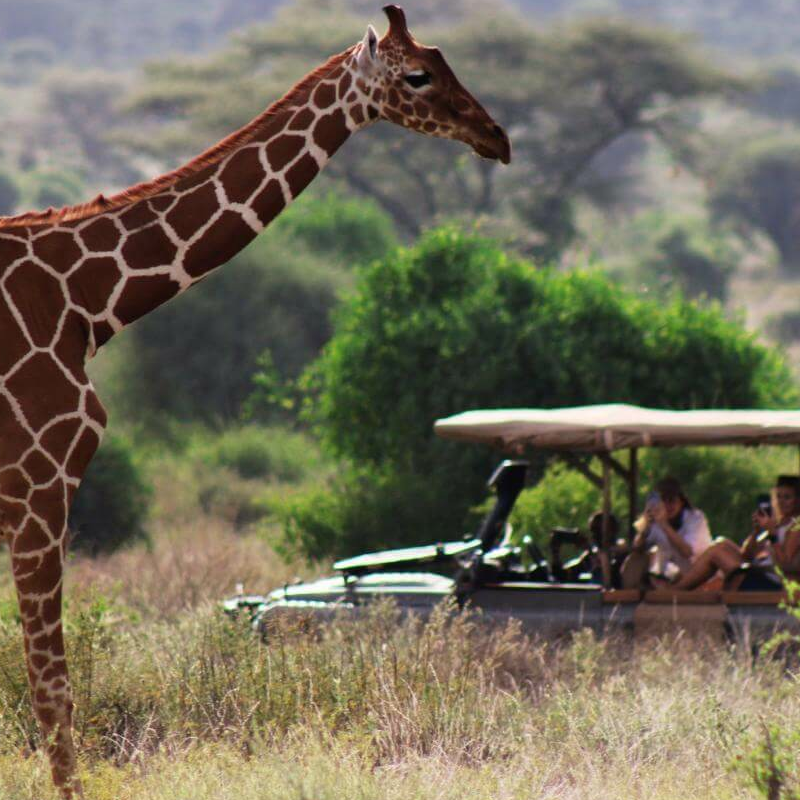 Samburu Nationalpark