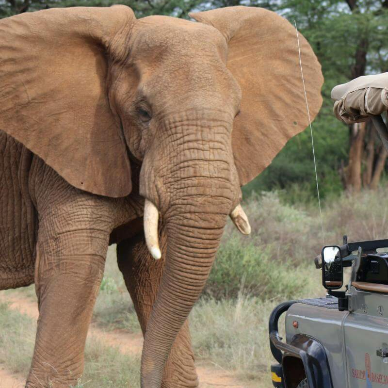 Samburu Nationalpark