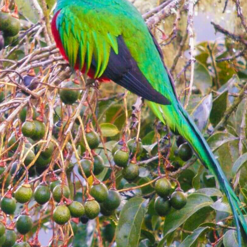 Costa Rica Grand Safari