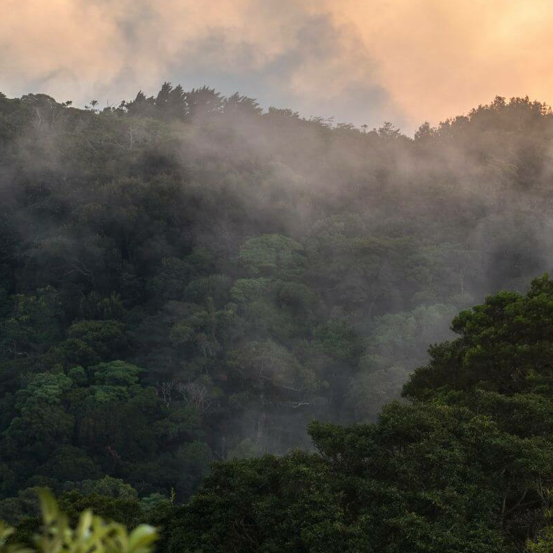 San Jose (Costa Rica)