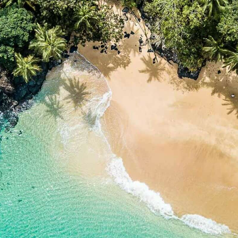 Gabun Loango Safari mit Sao Tome und Principe