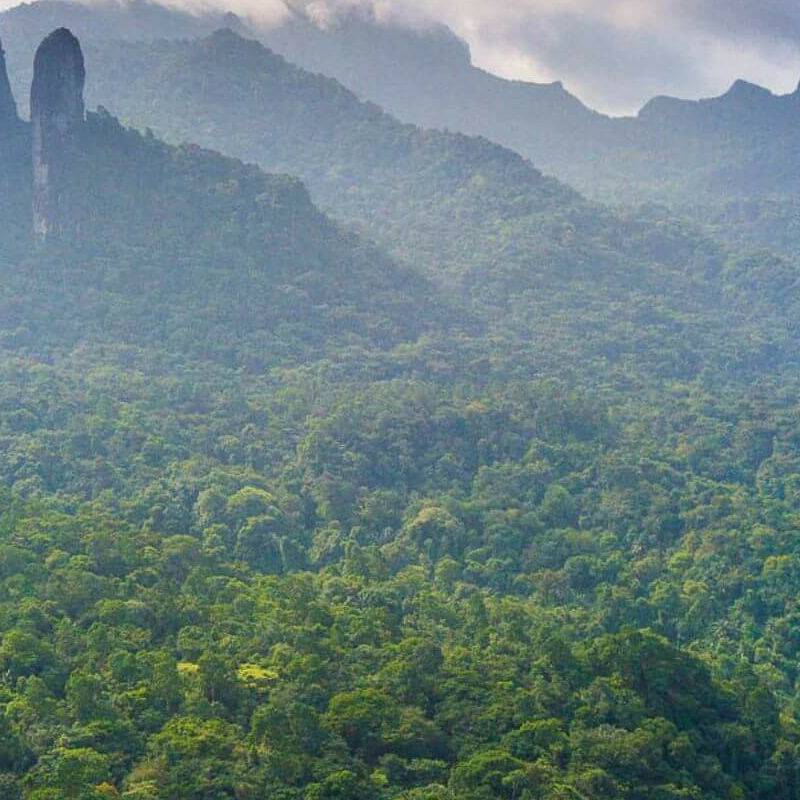Gabun Loango Safari mit Sao Tome und Principe