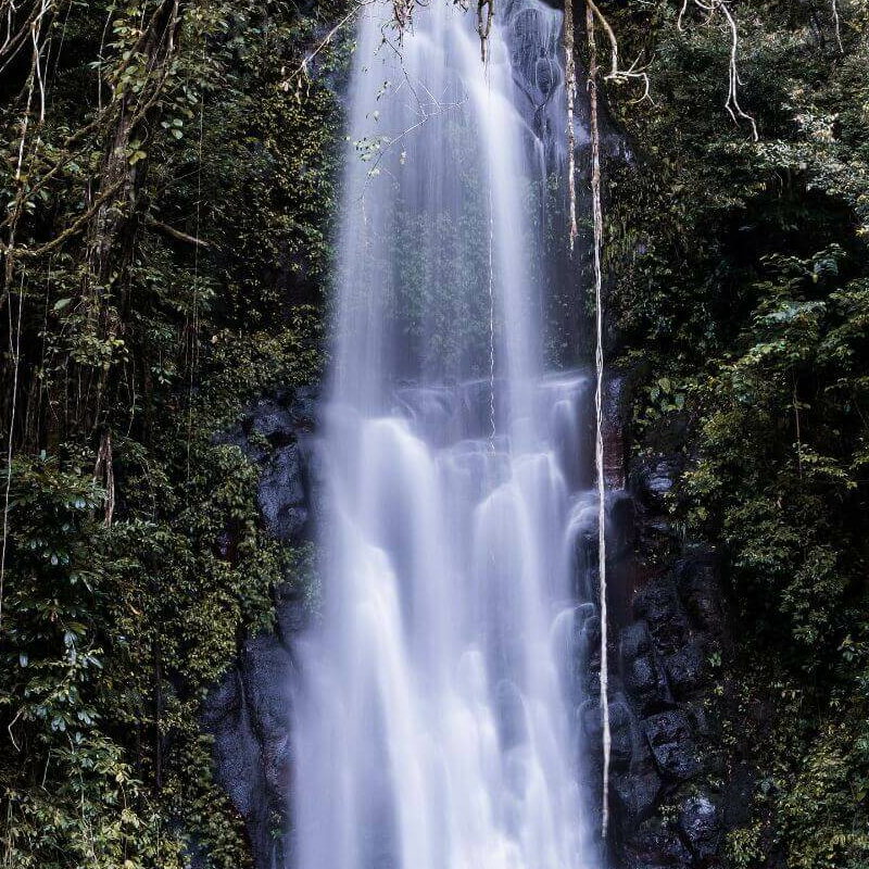 Gabun Loango Safari mit Sao Tome und Principe