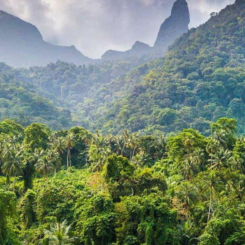 Gabun Loango Safari mit Sao Tome und Principe