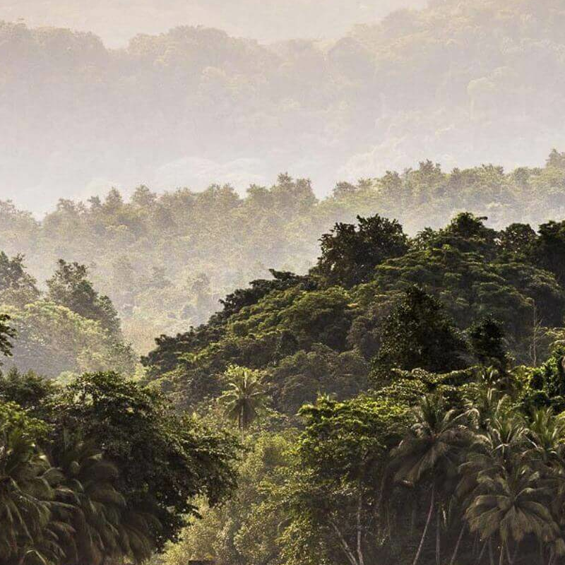 Gabun Loango Safari mit Sao Tome und Principe