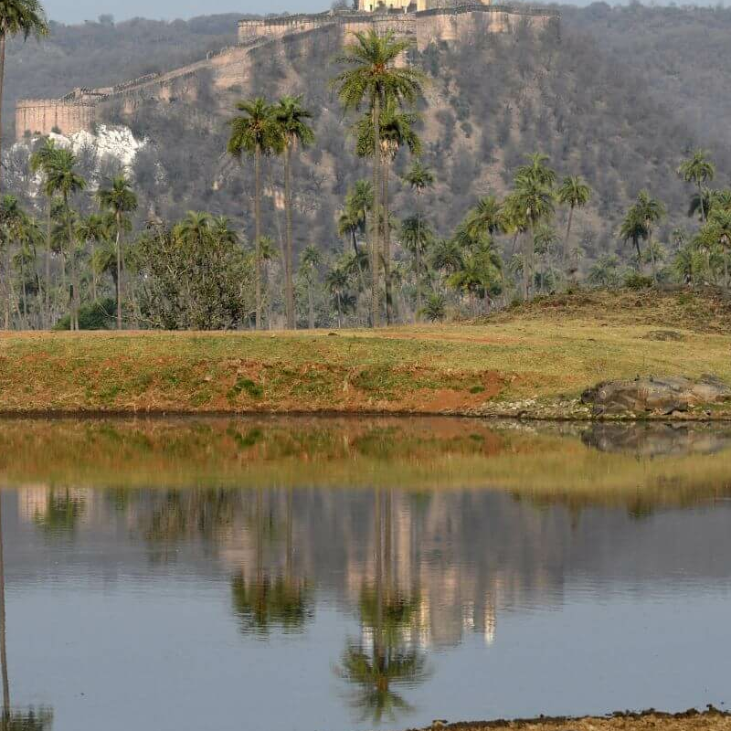 Sariska-Nationalpark