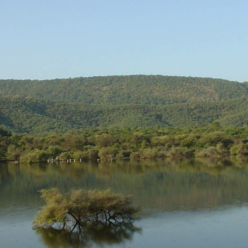 Sariska-Nationalpark