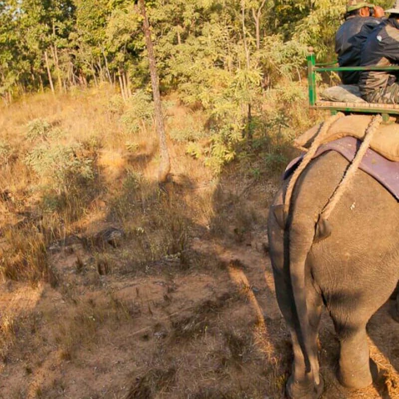 Satpura-National Park
