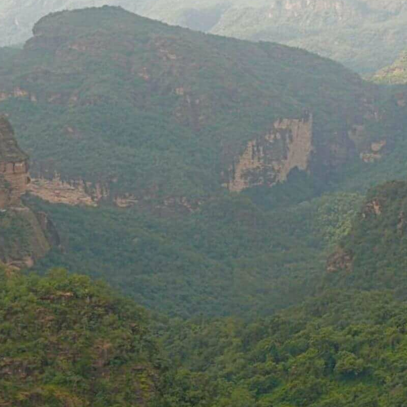 Satpura-National Park