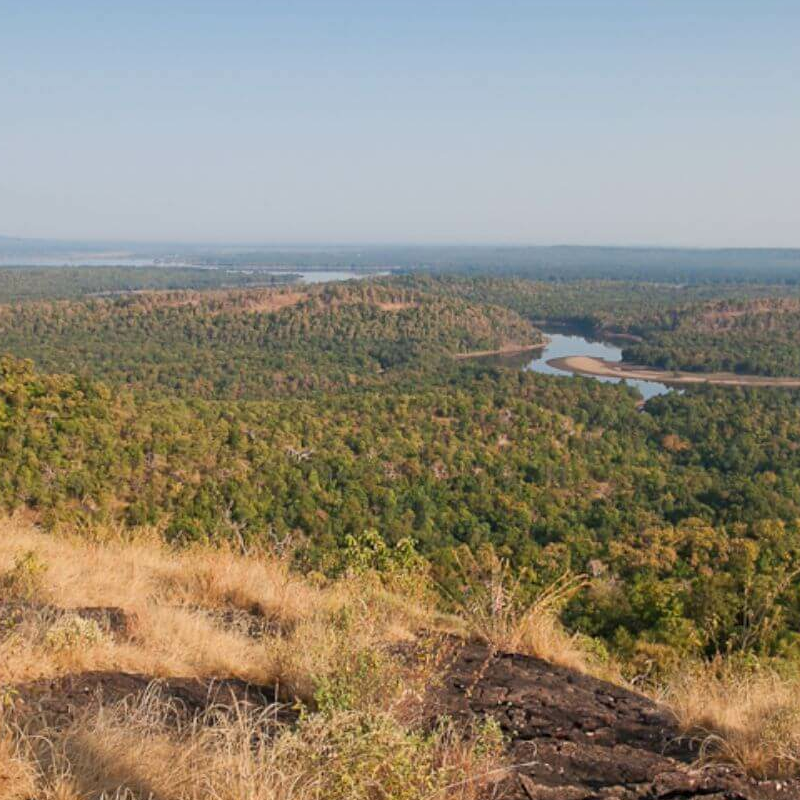 Satpura-National Park