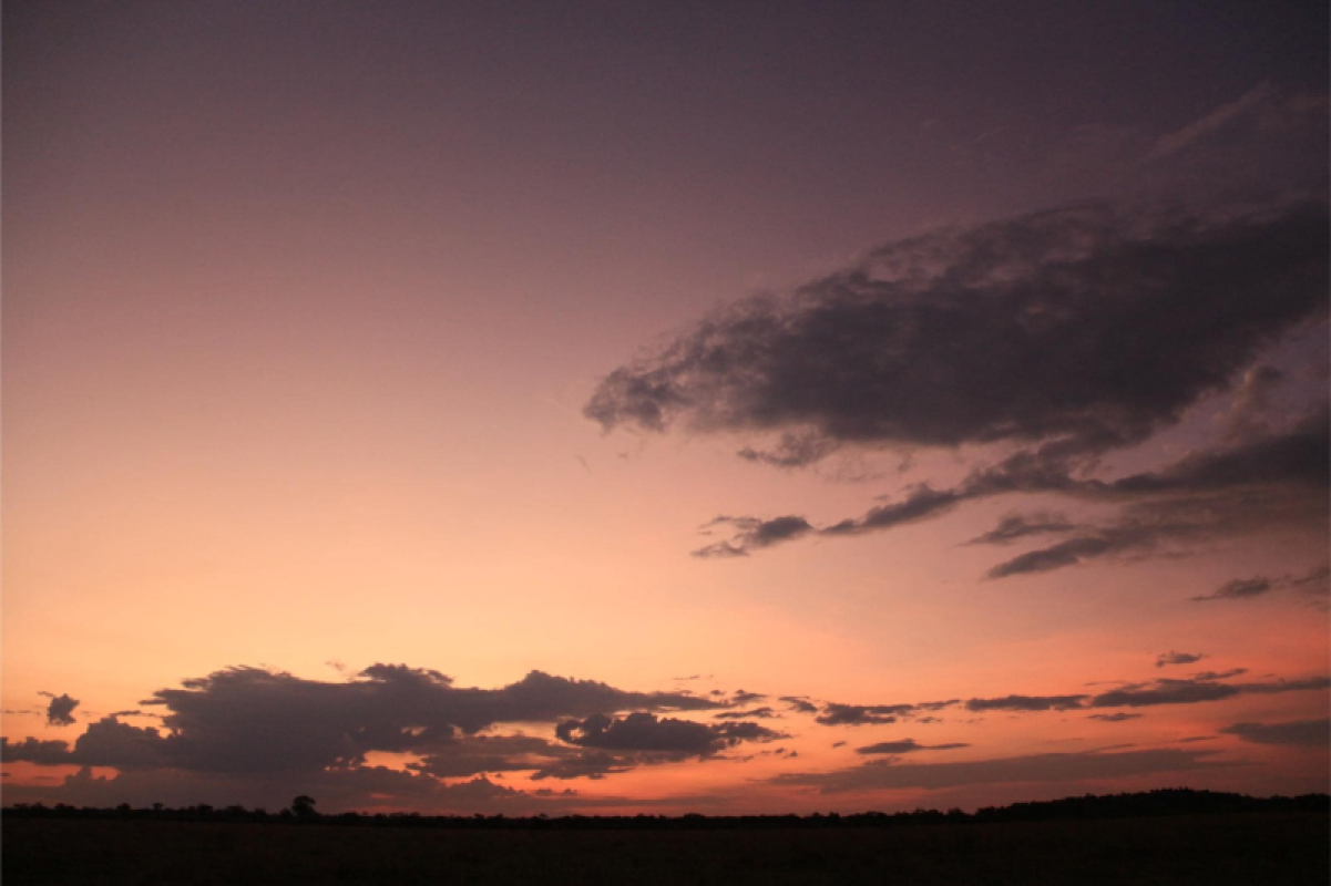 Savuti Marsh