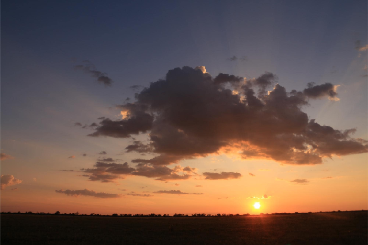 Savuti Marsh