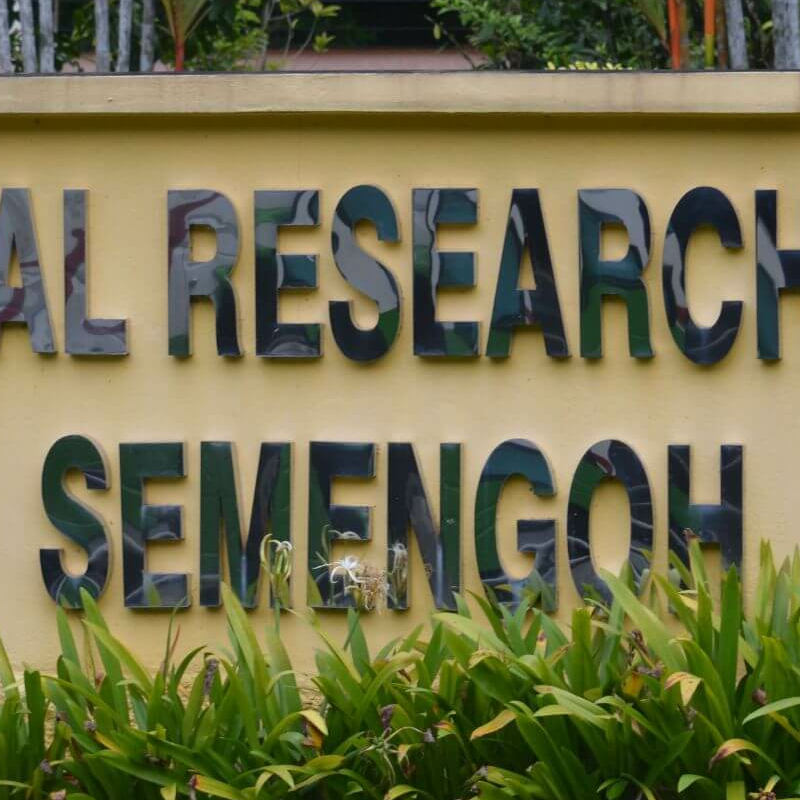 Semmenggoh Nature Reserve