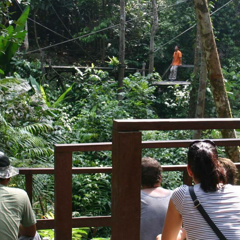 Semmenggoh Nature Reserve