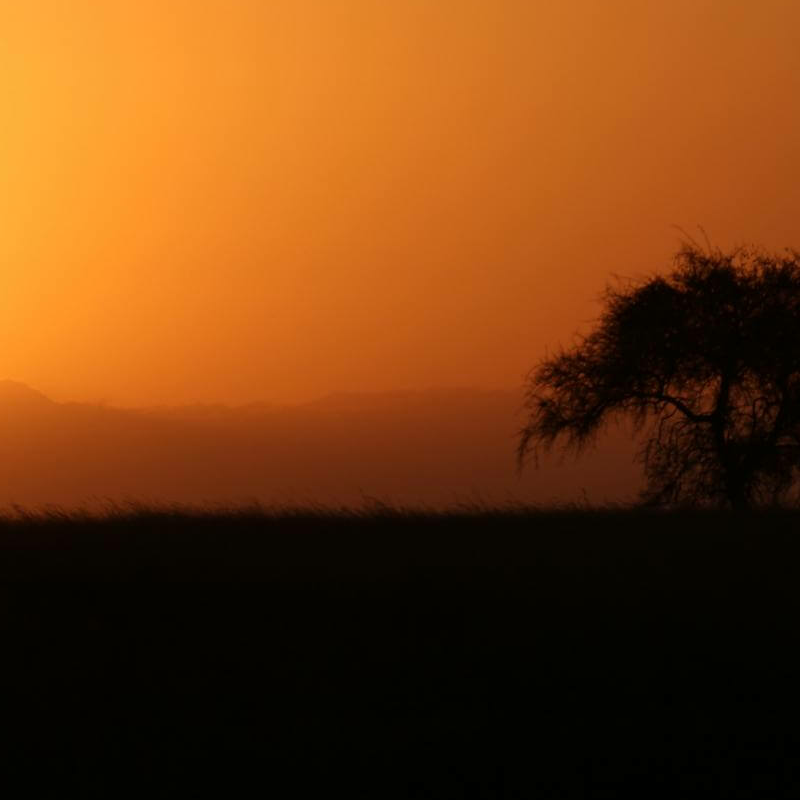 Grumeti-Fluss Safari und die Buschmänner von Lake Eyasi