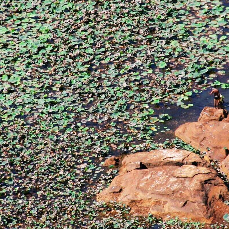 Sigiriya