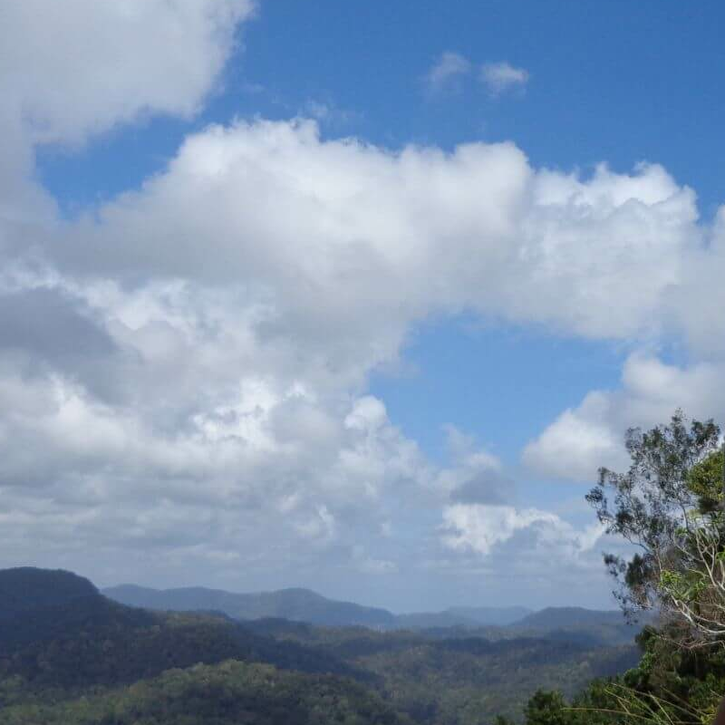 Sinharaja Forest