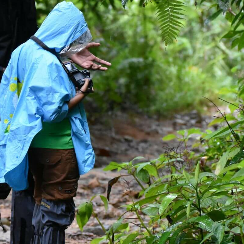 Sinharaja Forest