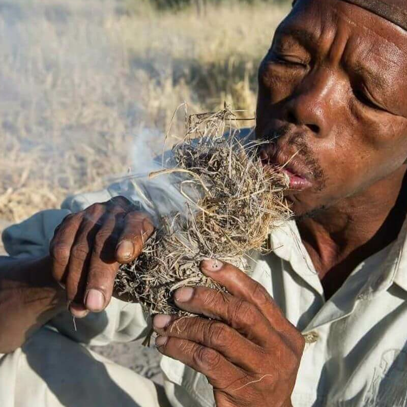 Südliches Afrika