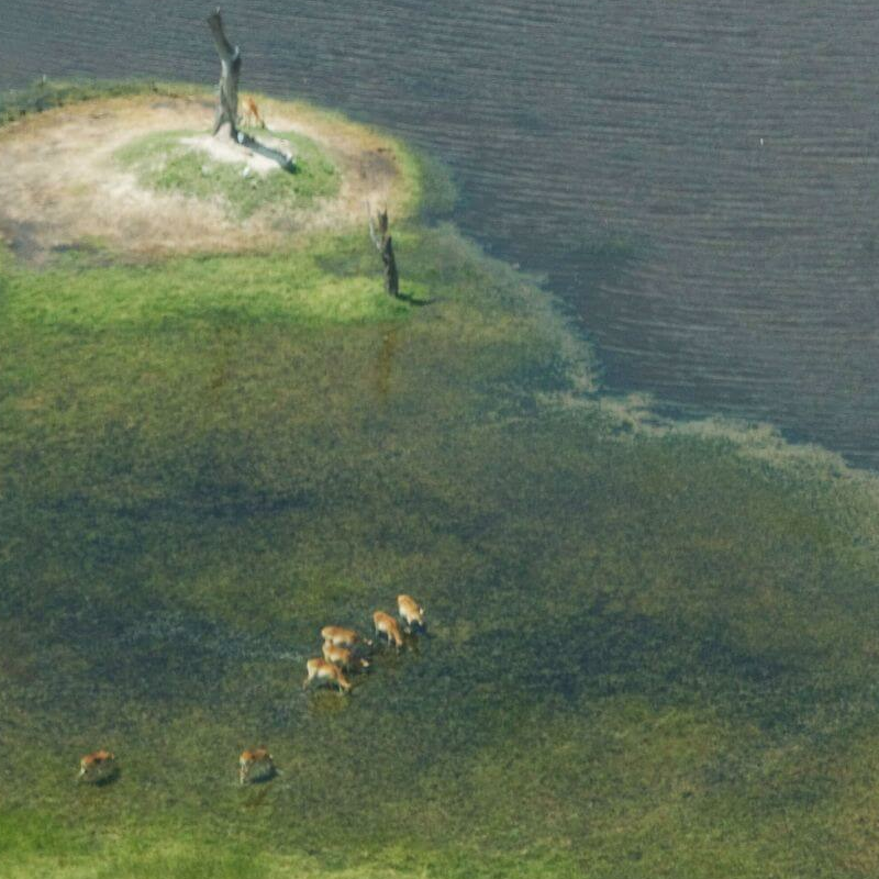 Südliches Afrika
