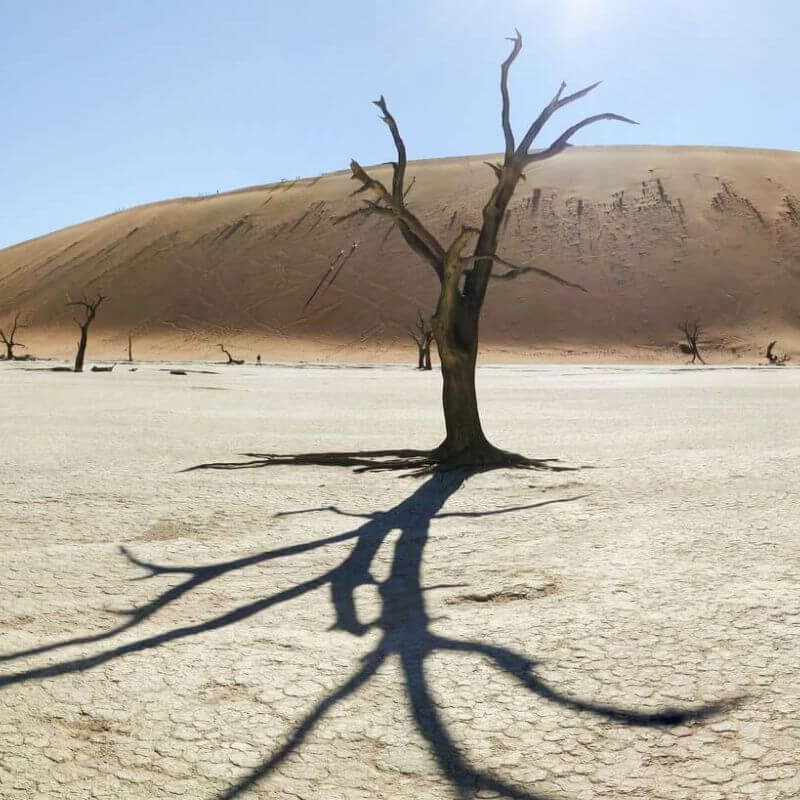 Südliches Afrika