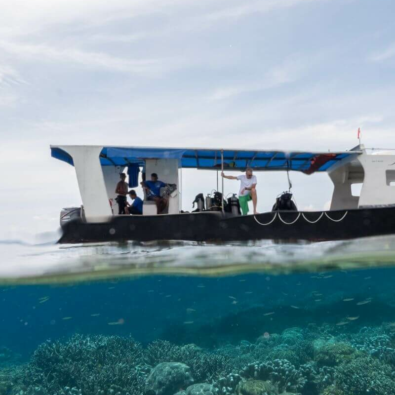 Sulawesi
