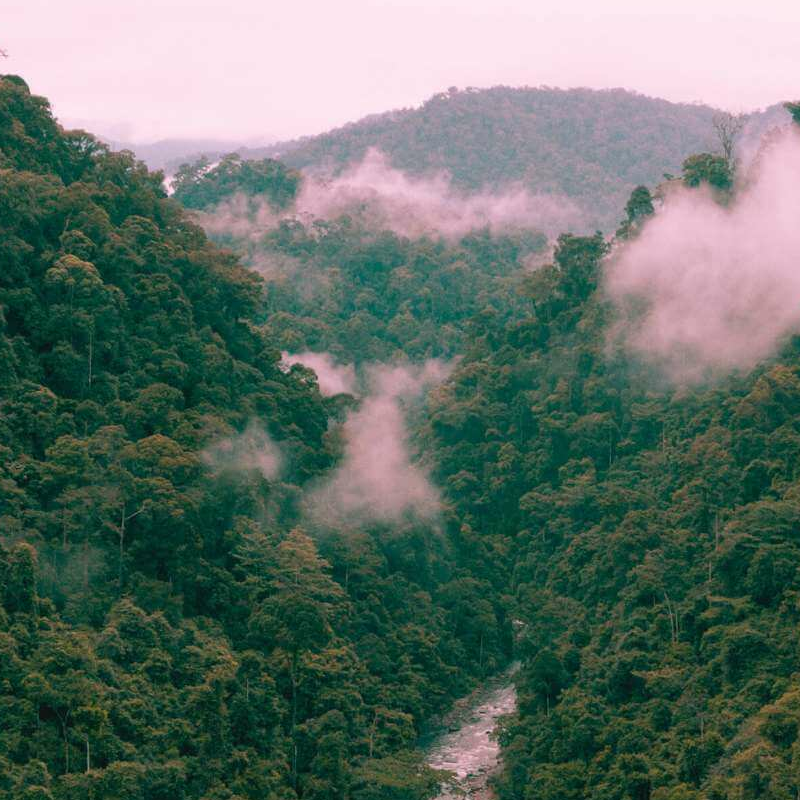 Sumatra