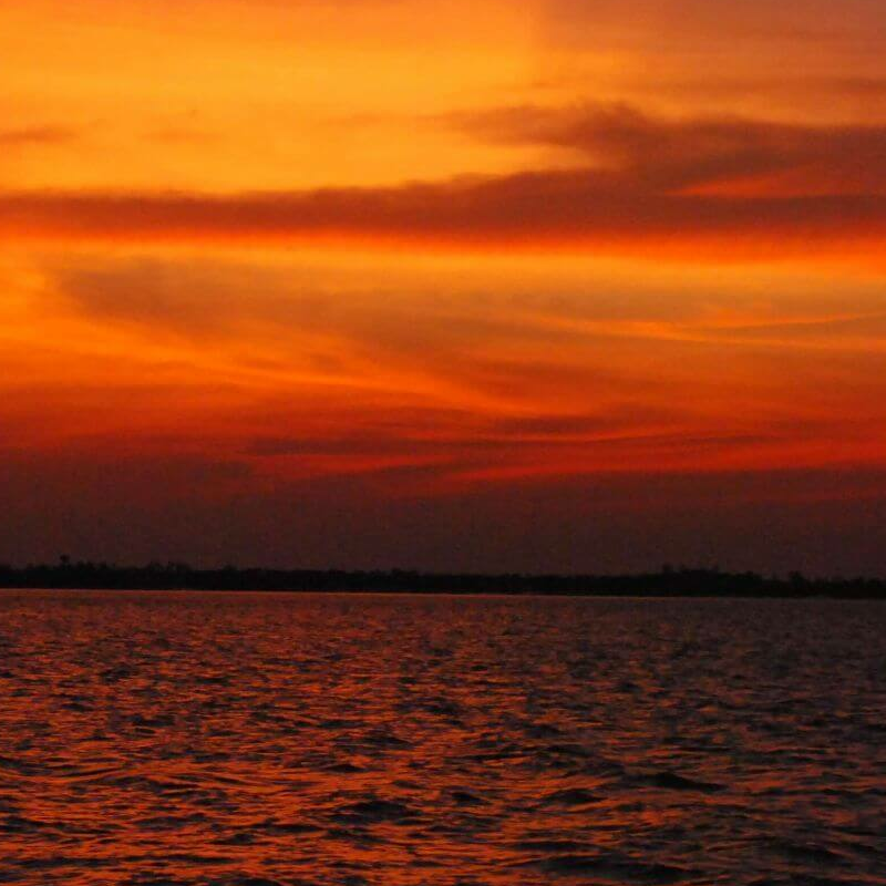 Sundarbans-Nationalpark