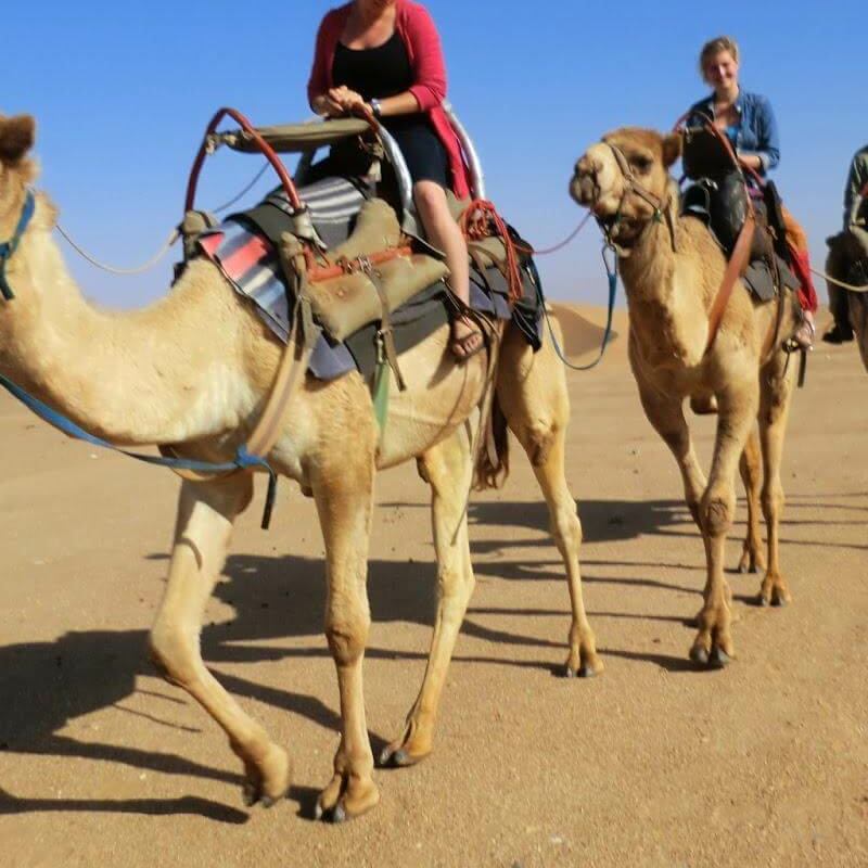 Namibia Farbenspiel der Lichter