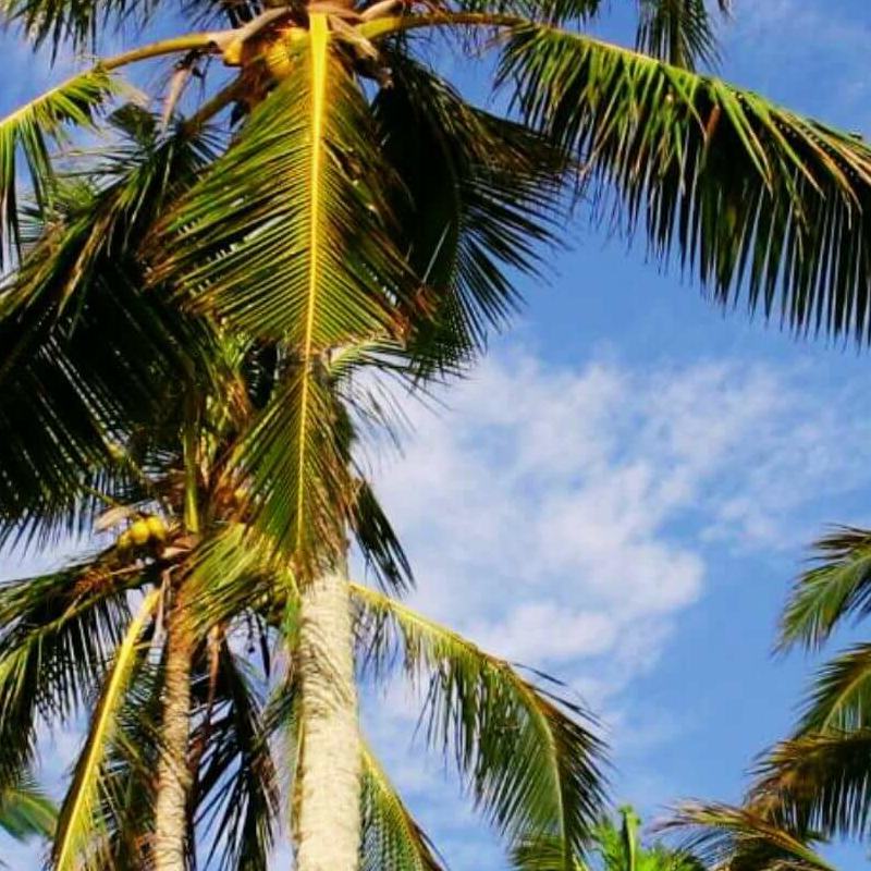 Tangalle