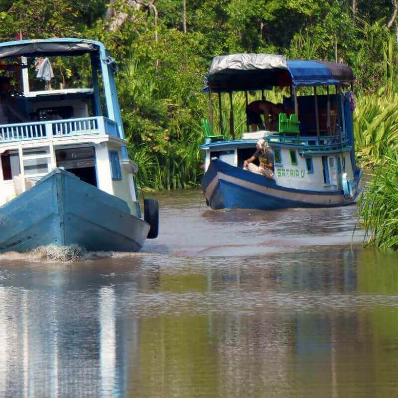 Tanjung Puting