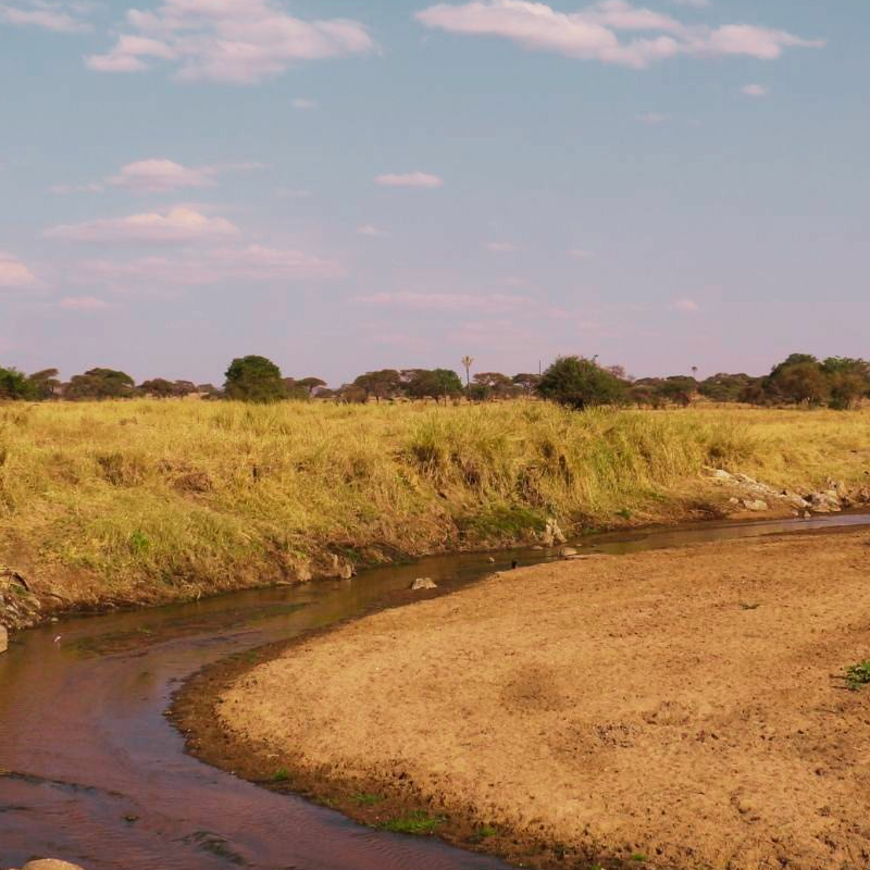 Tarangire National Park