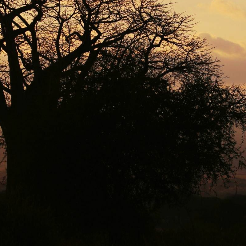 Tarangire National Park