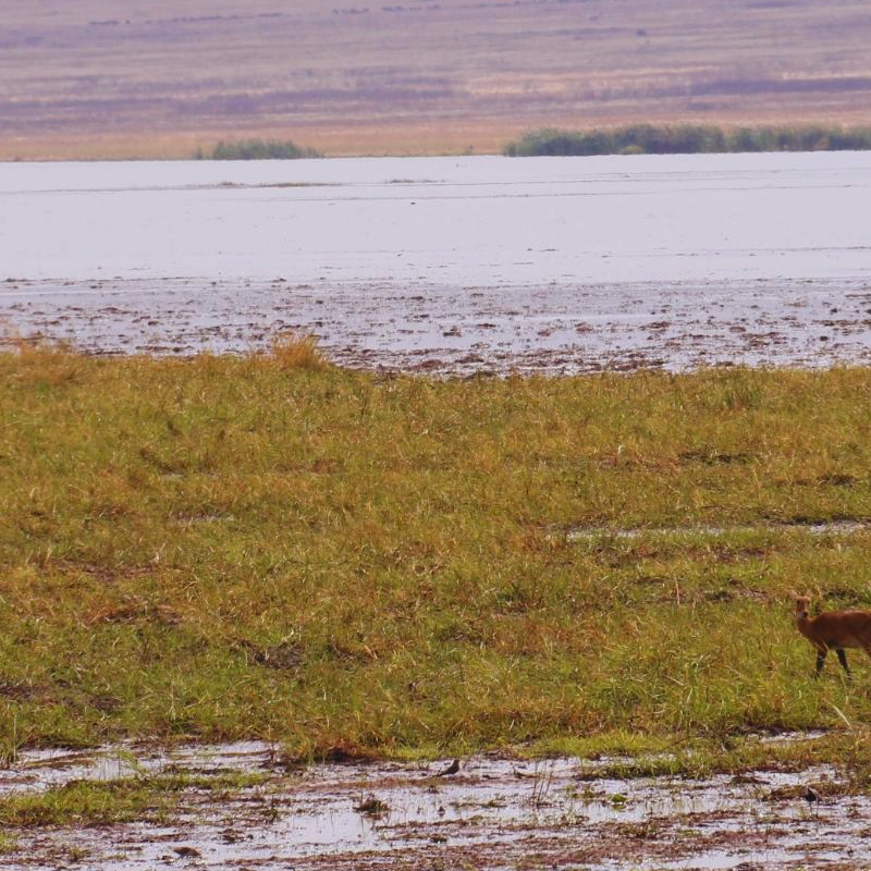 Tarangire National Park