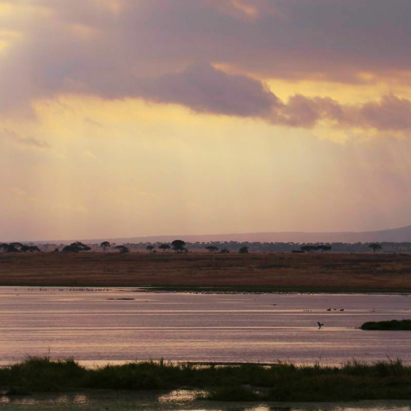 Tarangire National Park