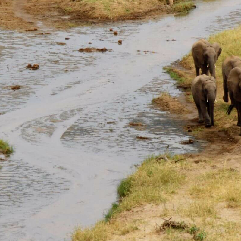 Tarangire National Park