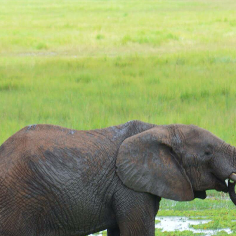 Tarangire National Park