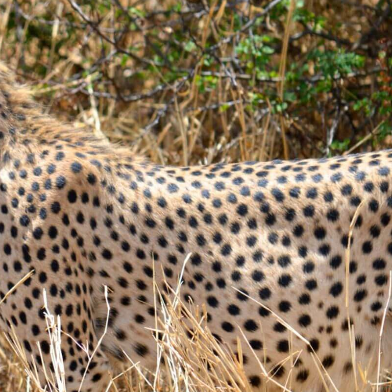Tarangire National Park