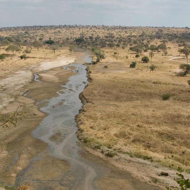 Tarangire National Park