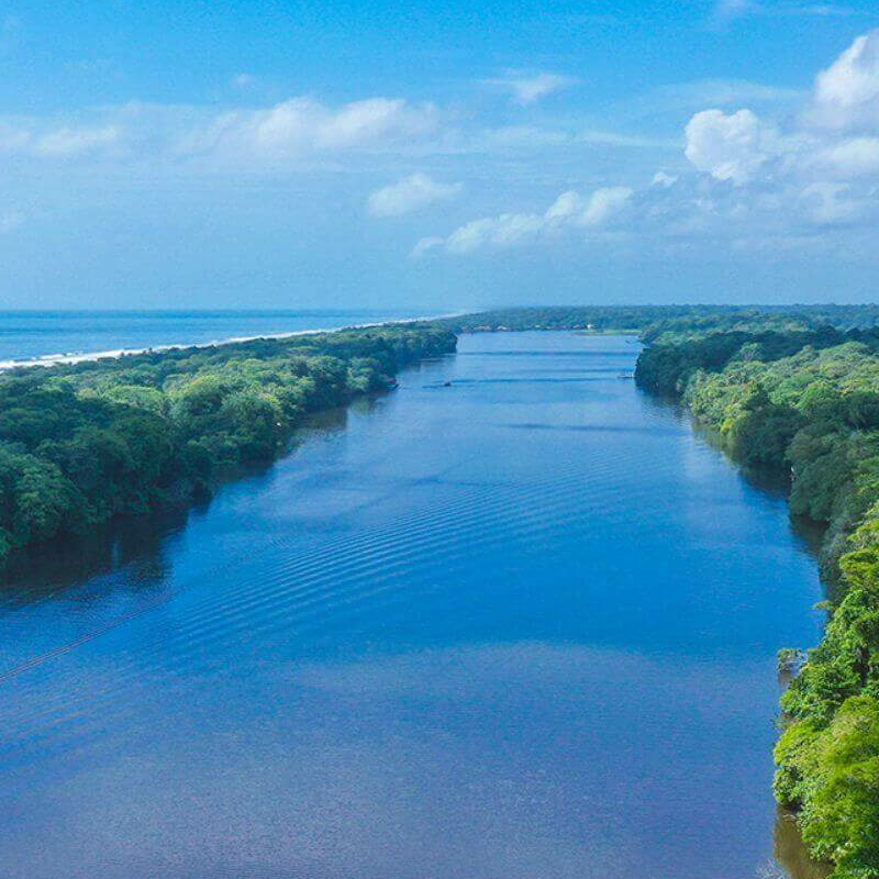 Tortuguero Costa Rica